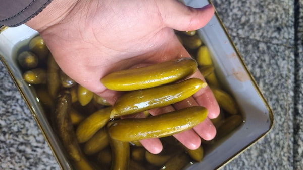 تصویر 5 از قیمت خیارشور حلب ویژه + خرید باور نکردنی